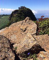 ���j�C���[�W